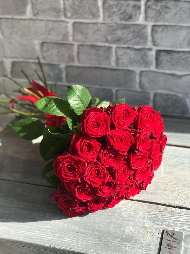 Букет Красные розы Фридом в Вязноватовке