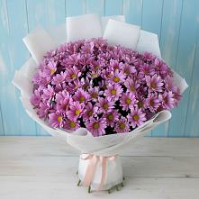 Букет цветов из:  Хризантемы в Вязноватовке