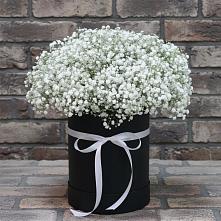 Цветочная композиция из Гипсофила в шляпной коробке в Вязноватовке