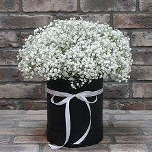 Цветочная композиция из Гипсофила в шляпной коробке в Вязноватовке