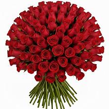 Букет Красные розы Чери Лав в Вязноватовке