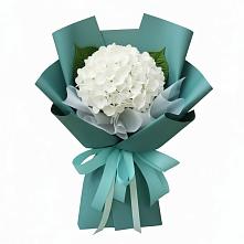 Букет цветов из:  Гортензия в Вязноватовке